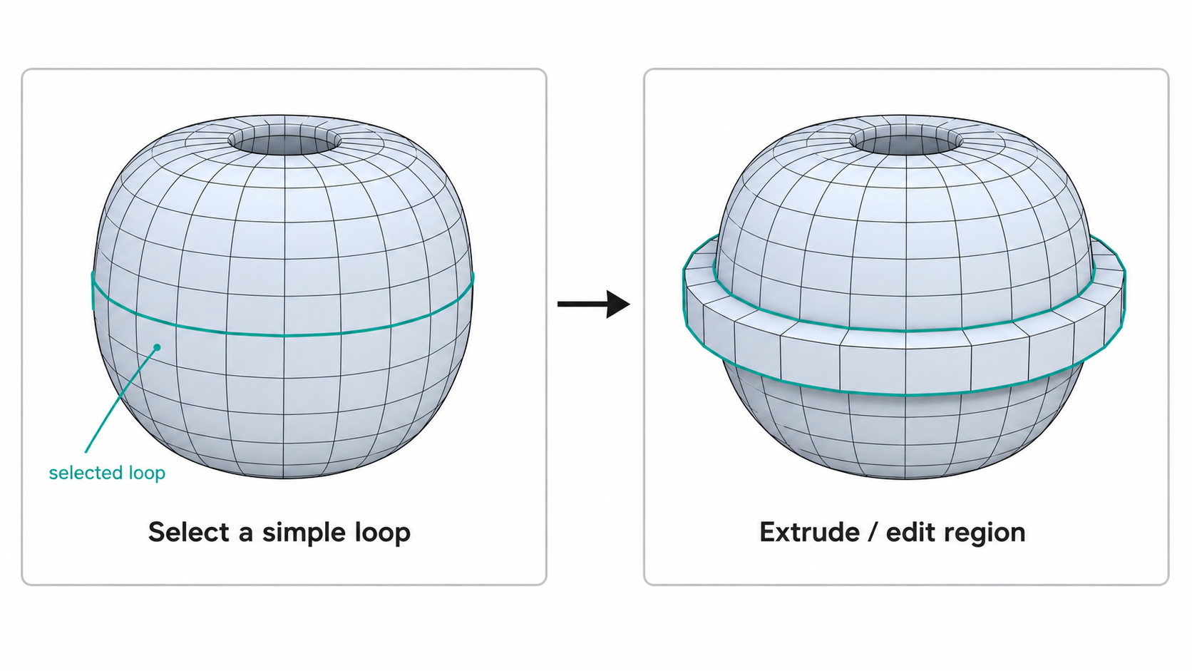 Selecting a loop on a simple quad layout and editing it with extrusion
